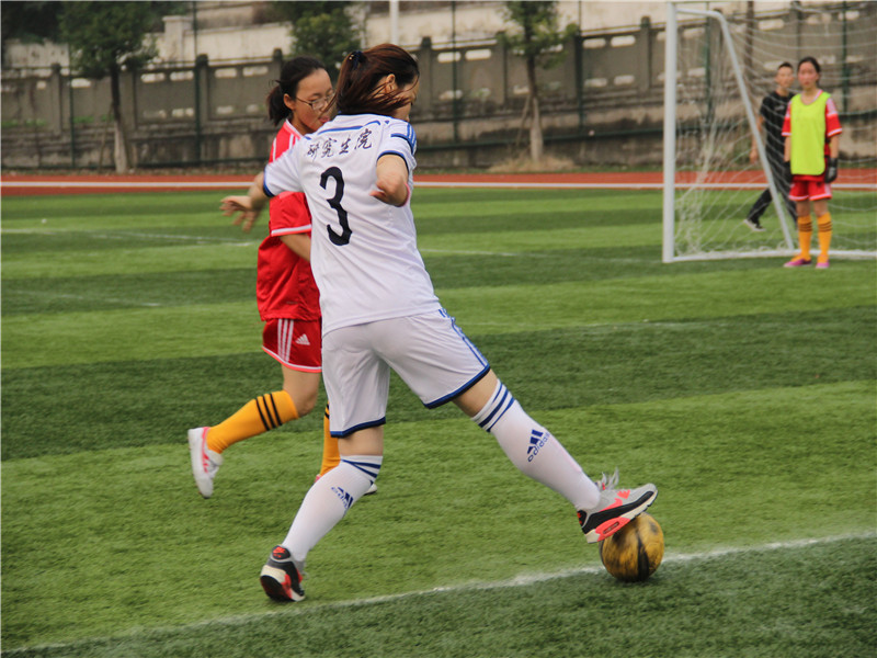 2003网站太阳集团